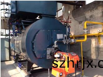 燃氣(qi)蒸汽(qi)鍋鑪(lu)工程案(an)例